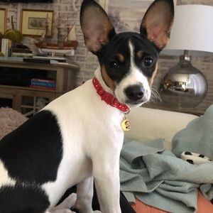 Meet your Posher, Elizabeth